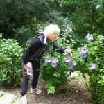 Monte Lucco - Castel Firmian